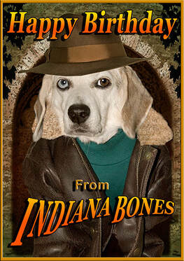 Birthday card - Our rescued beagle as Indiana Bones